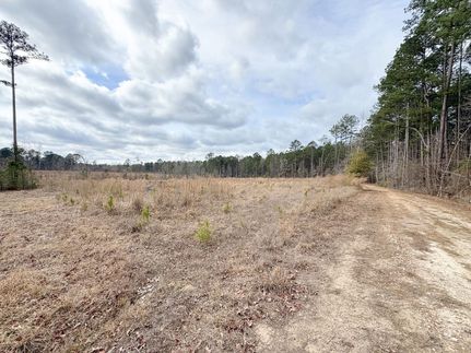 Land for sale in Ouachita County, Arkansas
