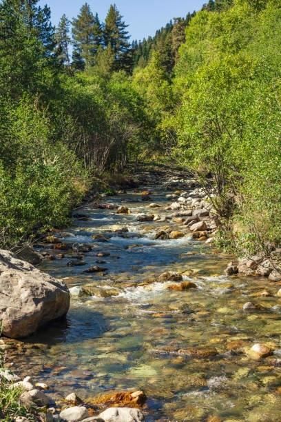 Land for sale in Boise County, Idaho