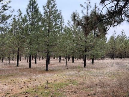 Lakefront Property for sale in Klickitat County, Washington