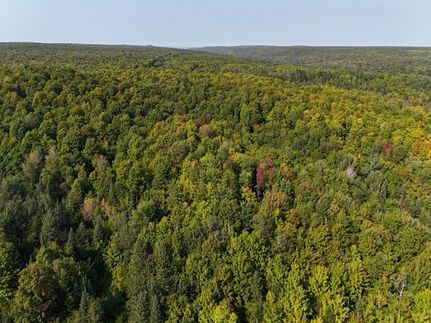 Farm and Ranch for sale in Alger County, Michigan