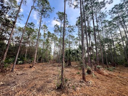 Homesite for sale in Collier County, Florida