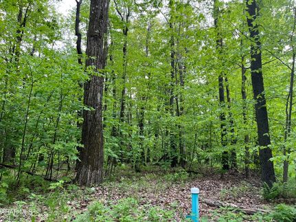 Timberland Property for sale in Bedford County, Pennsylvania