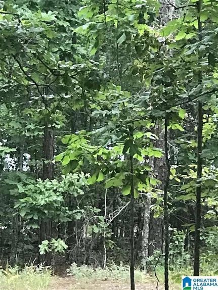 Undeveloped Land for sale in Talladega County, Alabama