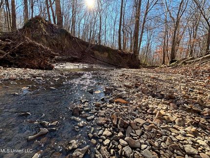 Recreational Property for sale in Yazoo County, Mississippi