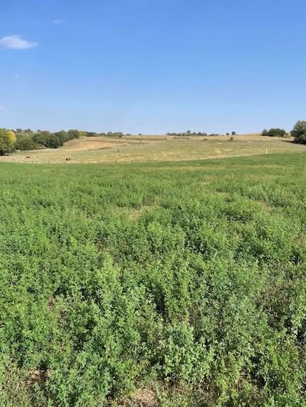 Farm and Ranch for sale in Mills County, Iowa