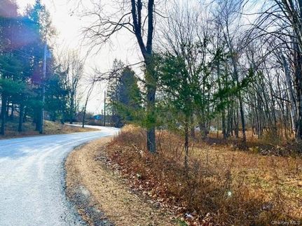 Recreational Property for sale in Orange County, New York