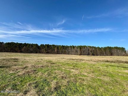 Timberland Property for sale in Hinds County, Mississippi