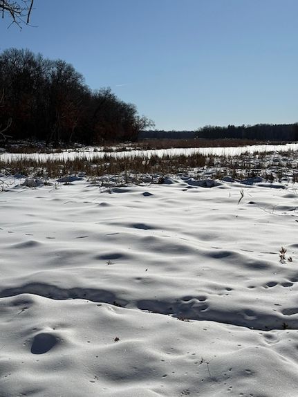Farm and Ranch for sale in Burnett County, Wisconsin