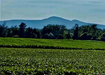 Land for sale in Columbia County, New York