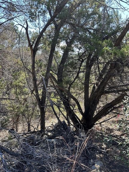 Homesite for sale in Travis County, Texas