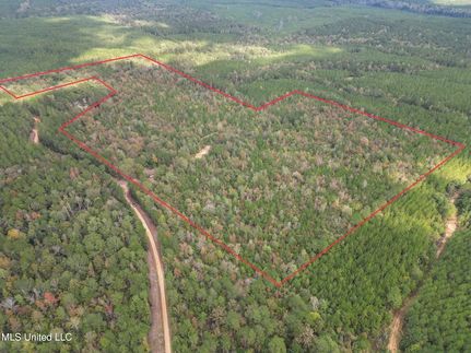 Undeveloped Land for sale in Simpson County, Mississippi