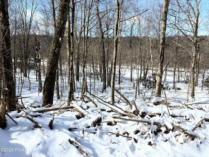 Recreational Property for sale in Pike County, Pennsylvania