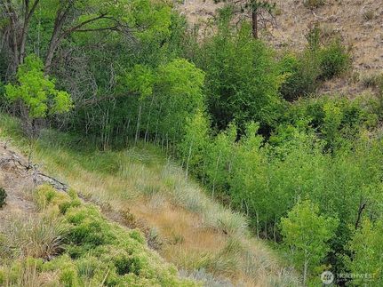 Undeveloped Land for sale in Okanogan County, Washington