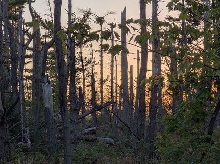 Farm and Ranch for sale in Bayfield County, Wisconsin