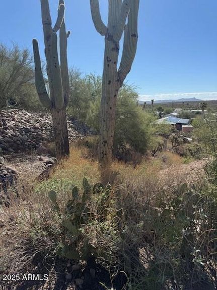 Timberland Property for sale in Pinal County, Arizona