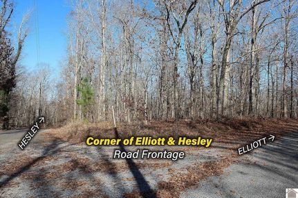 Farm and Ranch for sale in Calloway County, Kentucky