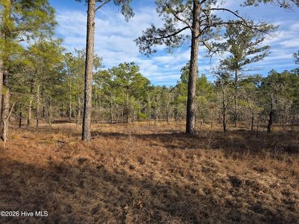 Undeveloped Land for sale in Pender County, North Carolina