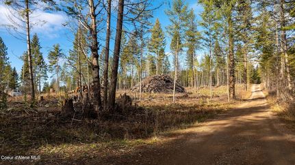 Farm and Ranch for sale in Bonner County, Idaho