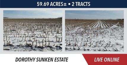 Land for sale in Marshall County, Illinois