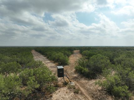 Farm and Ranch in Dimmit County, Texas