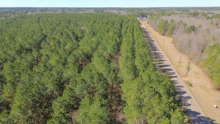 Timberland Property for sale in Lowndes County, Mississippi