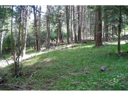 Recreational Property for sale in Wallowa County, Oregon