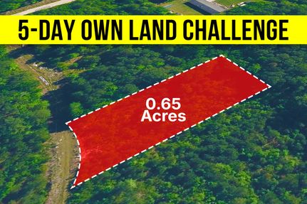 Undeveloped Land for sale in Pender County, North Carolina