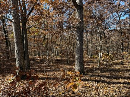 Land for sale in Benton County, Missouri