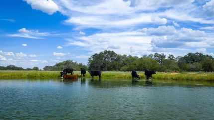 Land for sale in Medina County, Texas