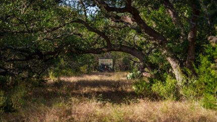 Hunting Property for sale in Comal County, Texas