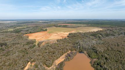 Undeveloped Land for sale in Randolph County, Georgia