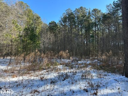 Undeveloped Land for sale in Wicomico County, Maryland