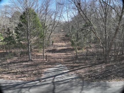 Timberland Property for sale in Wood County, Texas