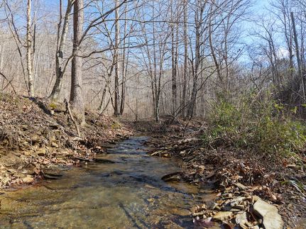 Timberland Property for sale in Pickens County, Georgia