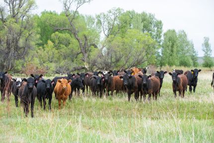 Hunting Property for sale in Moffat County, Colorado