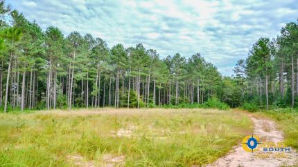 Farm and Ranch in Union County, South Carolina