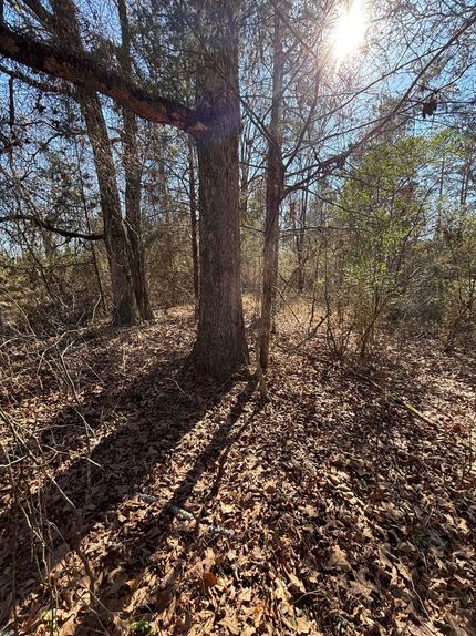 Land for sale in McCurtain County, Oklahoma