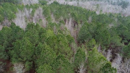 Timberland Property for sale in Simpson County, Mississippi