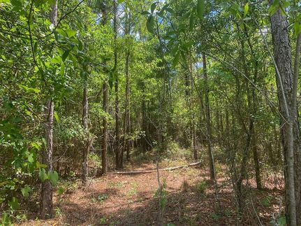 Land for sale in Gilchrist County, Florida