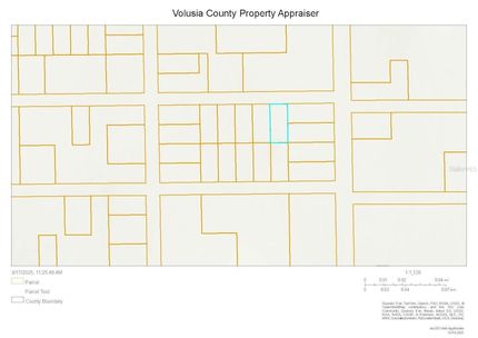 Undeveloped Land for sale in Volusia County, Florida