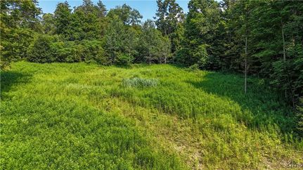 Hunting Property for sale in Tompkins County, New York