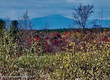 Land for sale in Columbia County, New York