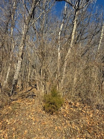 Recreational Property for sale in Mercer County, West Virginia