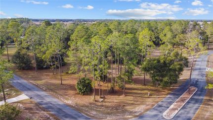 Land for sale in Lake County, Florida