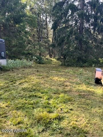 Land for sale in Sullivan County, Pennsylvania