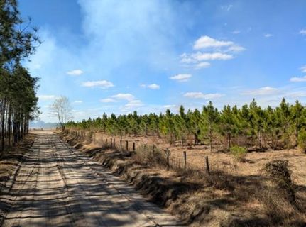 Land for sale in Lafayette County, Florida