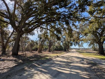 Undeveloped Land for sale in Madison County, Florida