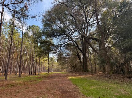 Land for sale in Sumter County, Georgia