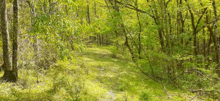 Land for sale in Wayne County, West Virginia