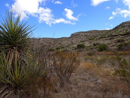 Timberland Property for sale in Terrell County, Texas